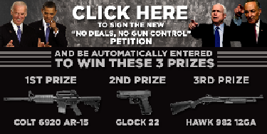 click to enter gun giveaway